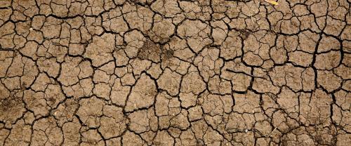 Cracked earth from climate change