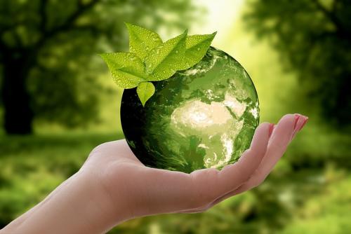 Greenwashing: How to avoid it 
