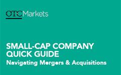 Small-cap company guide - Navigating mergers & acquisitions