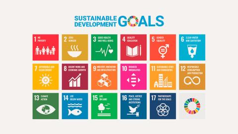 New forum launched to help companies ‘raise quality of SDG data’