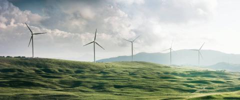 Wind turbines on green hillside