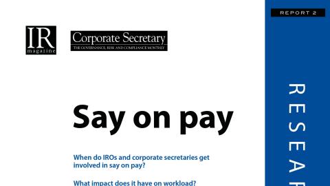 Say on Pay research report