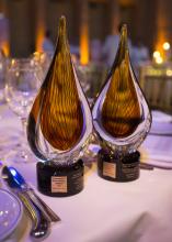 [VIRTUAL] Corporate Governance Awards